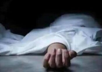 इंसान का कटा हुआ सिर  मुंह में लेकर घूम रहा था कुत्ता,शव बरामद कर जांच में जुटी पुलिस